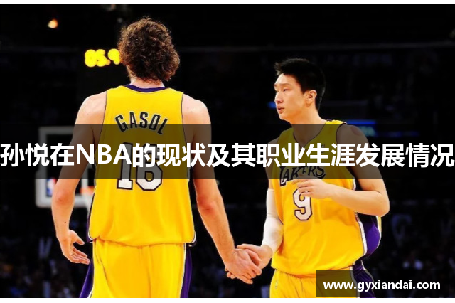 孙悦在NBA的现状及其职业生涯发展情况